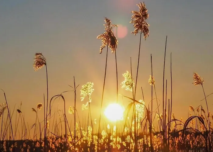 Apartment Typu Nad Jeziorem Drweckim